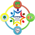 Synergy Logo